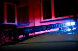 Varėnos rajone automobiliui kliudžius briedį, sužeisti du žmonės