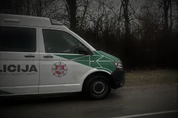 Su baltos spalvos milteliais sulaikė Alytaus rajone