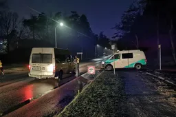 Kiek automobilių neįleista į Alytų?