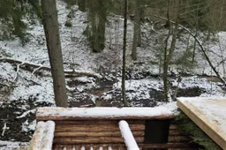 Istoriškai lankomos Punios šilo vietos turėtų likti atviros