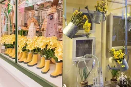 Kvietimas: Alytaus miesto šventei „Augc, žydėc ir mylėc“ puoškimės spalvingai