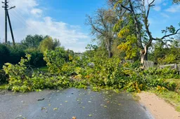 Tarp labiausiai audros paveiktų – Alytaus regionas