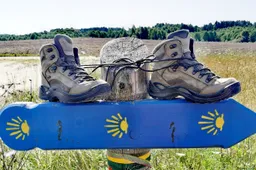 Pirmą kartą Lietuvoje organizuojamas bendras pėsčiųjų žygis „Camino Lituano“ keliu