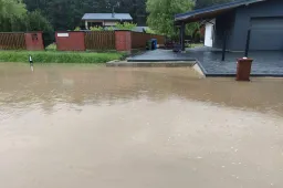 Žirgų gatvėn – prieplauką!