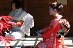 Su Žaliosios gatvės sakuromis Alytuje skleisis ir japoniška kultūra