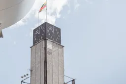 Alytaus miesto savivaldybės tarybos etikos komisija pradės tyrimą dėl R. Remeikienės elgesio