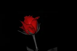 Atsisveikinant su Jurgiu. Būti tavo draugu buvo neįkainojama dovana