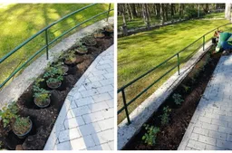 Rožynas atkurtas šalia Šaulių namų Alytuje