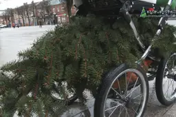Kalėdines šakeles miestelėnai išgraibstė akimirksniu