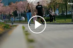 Alytuje žydi sakuros