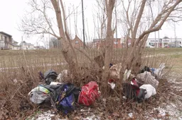 Akis bado „šiukšlių medis“ prie Sakurų alėjos