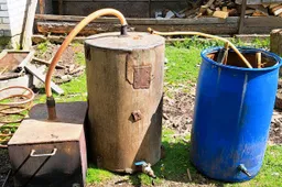 Pilstuko ir naminės vartojimas Lietuvoje auga