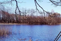 Paribyje su Alytaus rajonu esančiame ežere rastas nuskendęs vyras