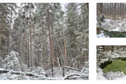 Išsaugotas didžiausias sklypas kultūriškai ir gamtiškai ypatingoje Dzūkijos vietoje