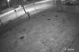 Ieško dėl turto sugadinimo