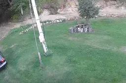 Alytaus policija ieško paslaptingojo „Volvo“ vairuotojo