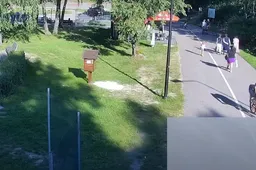 Alytaus policija ieško dviračio vagies