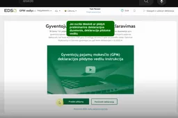 Pajamų deklaravimui liko vos savaitė: dažniausiai užduodami klausimai