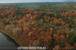 Išplėstas Punios šilas rezervatu taps iki vasaros