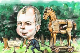 Aplinkos ministerija netesėjo pažadų – Punios šile vykdomi plynieji kirtimai