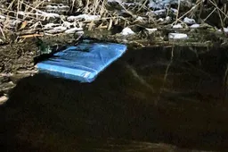 „Prifarširuotas“ čiužinys įstrigo Nemuno žolėse