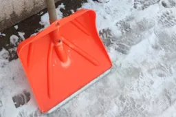 Kaip pasirūpinti apsnigtu kiemu?