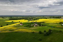 Pataria specialistai. Ką reikia žinoti perkant žemės sklypą namui?