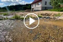 Per Jonines į namo kiemą atplaukė žuvys