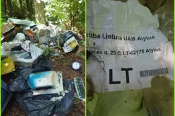 Aiškinamasi, kas išmetė atliekas miškelyje šalia Alytaus