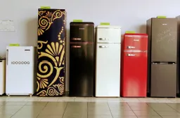 „Snaigė“ inicijuoja restruktūrizavimą, tikisi pakeisti veiklos kryptį