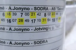 Jau mokamos vienišo asmens išmokos