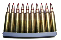 Rado įvairių kalibrų šovinių ir nelegaliai laikytą šautuvą