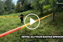 Draudžiamoje vietoje kasinėję juodieji archeologai rado sprogmenį