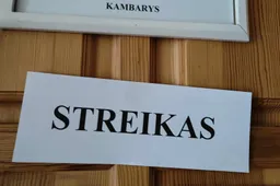Streikai vyko daugiau nei pusėje Alytaus miesto švietimo įstaigų