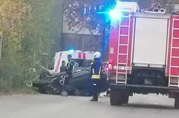 Nesuvaldė „Subaru" ir apvirto – automobilio kelyje pasimaišė šuo