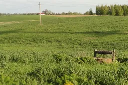 Dėl netikslaus adreso nesulaukia žemės mokesčio pranešimų, juos paštas grąžina