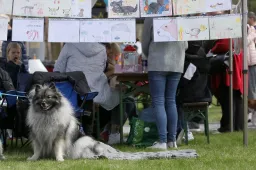 Šalia Alytaus esančiame parke – dvi nemokamos šunų parodos