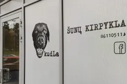 Savarankiškai dirbantiems: apie įmokų mokėjimą „Sodrai“