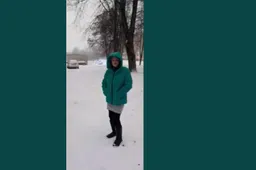 Policija ieško galimai nusikaltusio šuns šeimininkės