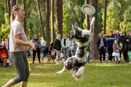 Pasaulinės gyvūnų globos dienos proga Alytuje – renginys gyvūnams ir jų šeimininkams