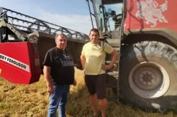 Javapjūtė Panemuninkuose artėja į pabaigą