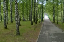 Bus rekonstruojamas Jaunimo parko tiltas