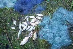 Pažeidėjas buvo sulaikytas žvejybai dar neprasidėjus