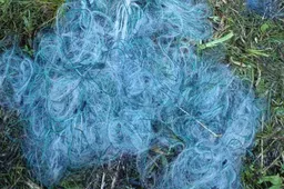 Sodyboje prie Obelijos rastų tinklų ilgis – pusė kilometro