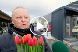 112: tiek metų švenčiama Kovo 8-oji, gėlininkai teigia, kad ši diena Alytuje išliko populiari