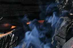 Alytaus rajone liepsnojo garažas, įtariamas padegimas