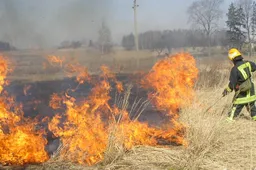 Už žolės deginimą – bauda ir žalos gamtai atlyginimas