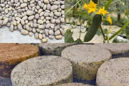 Ūkininkų ir amatininkų produktai – tiesiai iš jų