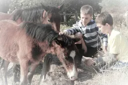Vėl startuoja Šviečiamoji gyvulininkystės programa vaikams ir jaunimui