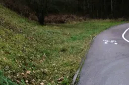 Ieškojo dėl apiplėšimo Sveikatingumo take